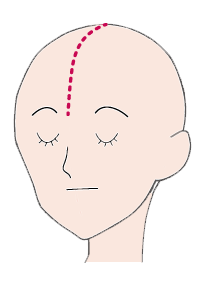 エモーションコードでは頭部に磁石(磁気)をあてるエリア